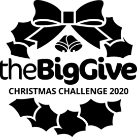 Christmas Challenge 2020