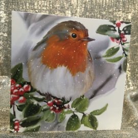 Charity Christmas Cards Stroud